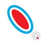 Tula Petal