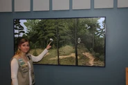 1429644218 7a2f.jpg (614 KB) Rebecca shows one of the four murals she created for lessons about Long Island’s habitats at the Tackapausha Museum.