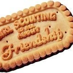 Category Discontinued Girl Scout Cookies Wiki Fandom