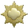 Gold-Award-pin