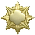 Gold-Award-pin-0