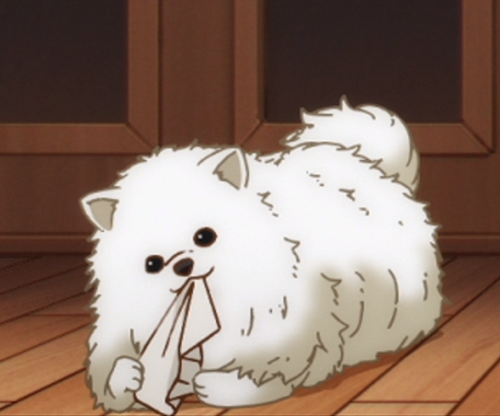 What is the best looking dog in anime? - Quora