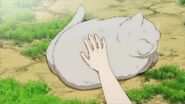 Yuki petting the cat