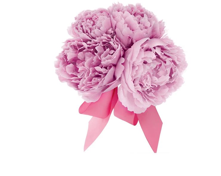 Angel Whispers Glade Wiki Fandom