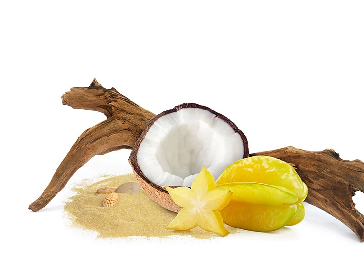 Coconut & Beach Woods Glade Wiki Fandom