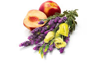 Jublient Rose Lavender Peach Blossom.jpg