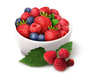 Radiant berries wild raspberry.jpg