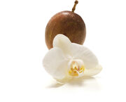 Vanilla Passion Fruit.jpg
