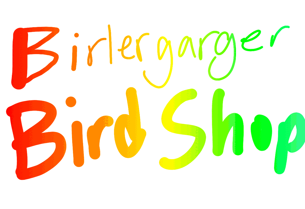 Birlergarger Bird Shop Glagglepedia Wiki Fandom