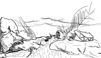 Bibble's field plane