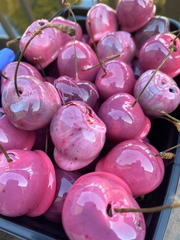 FlorgGlossfruit