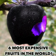 Shadow Apple