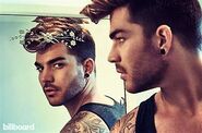 Adam Lambert8546