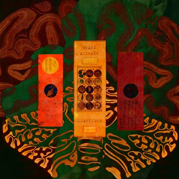 Leaflings Glass Animals Wiki Fandom