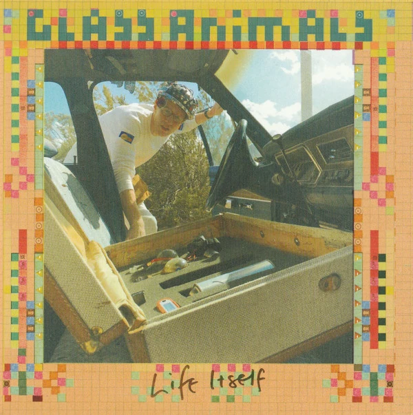 Life Itself Glass Animals Wiki Fandom
