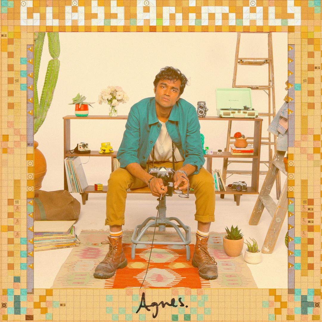Agnes | Glass Animals Wiki | Fandom