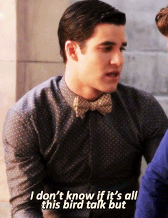 picture No Soup For You Come Back One Year Gif the untitled rachel berry project