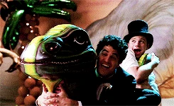 Tumblr mx1wwnC88E1rqw5sqo2 250.gif