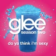 Do Ya Think I'm Sexy? (Glee: The Music Presents The Warblers)