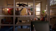 Wills Ausraster á la Sue Sylvester