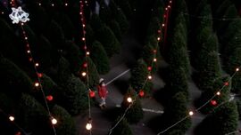 Glee-christmas-pic-2