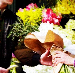 Tumblr n3dsj9VWn81qcy3j9o4 250.gif