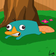Perry or2