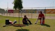 Puck hat den Baum wieder eingepflanzt