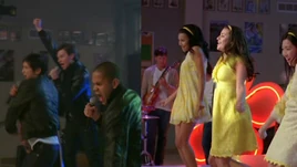 Angeregte Organismen