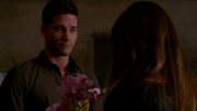 Brody-orchidee.png