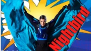 Nightbird