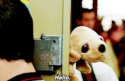 Tumblr mzh0kwaNZY1toz9i2o1 250.gif