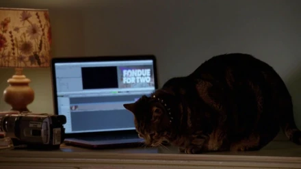 Lady TubbingtonIst seit Vom Finden der Liebe in allen Ausgaben dabei