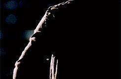 Tumblr nssi5attBR1ra5gbxo4 250.gif