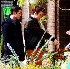 Tumblr n3dsj9VWn81qcy3j9o2 250.gif