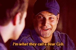 Bearcup kurtofsky.gif