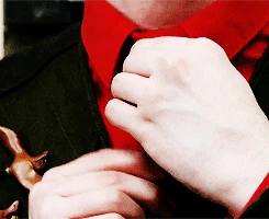 Tumblr myv7ljXC4z1qbnvfdo1 250.gif