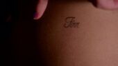 Fin-tat2