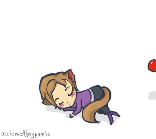 Tumblr lslw7kPahw1qhsi1bo1 500.gif