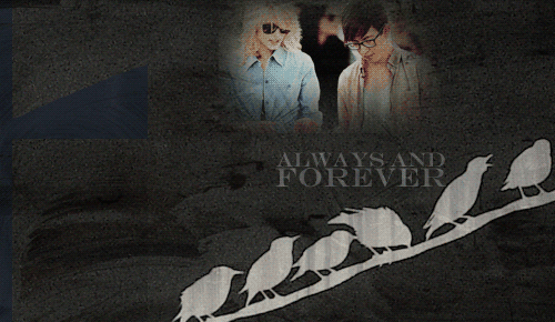 Tumblr lq71ni4eIa1r1mow7o1 500.gif