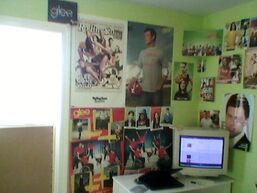 3 glee posters from ebay the finn one i got at FYE