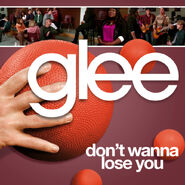 Glee - dont wanna lose you