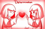 Determination