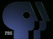 PBS logo 1989