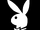 Playboy Enterprises