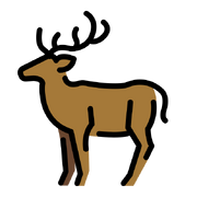 Cervus