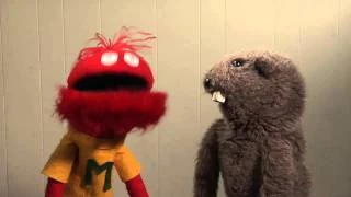 Pirates stole our monies!!