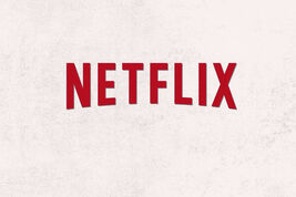 Bits-netflix2-blog480-v2