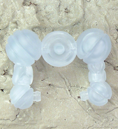 Archive-axis-bioparalyzer.png (93 KB)