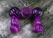 Gallery-axis-clearpurp.jpg (164 KB)